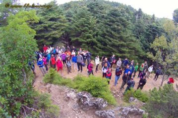 Φλαμπούρι - 2016-10-29 - Πεζοπορική βόλτα στο δρυμό της Πάρνηθας