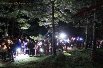 Φλαμπούρι - 2016-11-12 - Απογευματοβραδινή πεζοπορική βόλτα στο ελατόδασος της Πάρνηθας