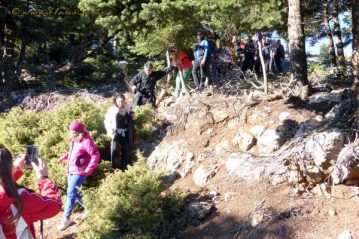 Φλαμπούρι - 2016-12-10 - Πεζοπορική βόλτα στο δρυμό της Πάρνηθας