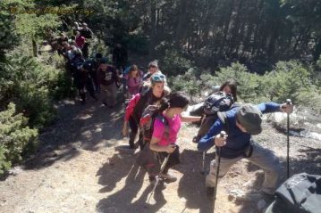 Φλαμπούρι - 2016-12-11 - Πεζοπορία στο δρυμό της Πάρνηθας