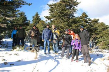 Φλαμπούρι - 2016-12-24 - Χριστουγεννιάτικη βόλτα για μικρούς και μεγάλους στo ελατόδασος της Πάρνηθας