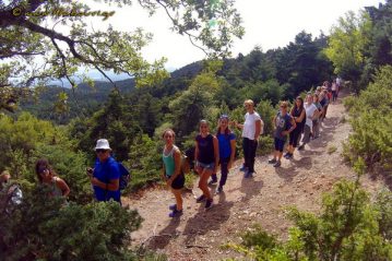 Φλαμπούρι - 2018-09-08 - Πεζοπορική βόλτα στο ελατόδασος της Πάρνηθας