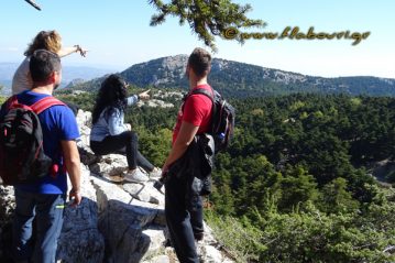 Φλαμπούρι - 2018-10-06 - Πεζοπορική βόλτα στο ελατόδασος της Πάρνηθας