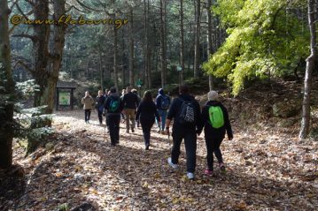 Φλαμπούρι - 2018-10-20 - Πεζοπορική βόλτα στο ελατόδασος της Πάρνηθας
