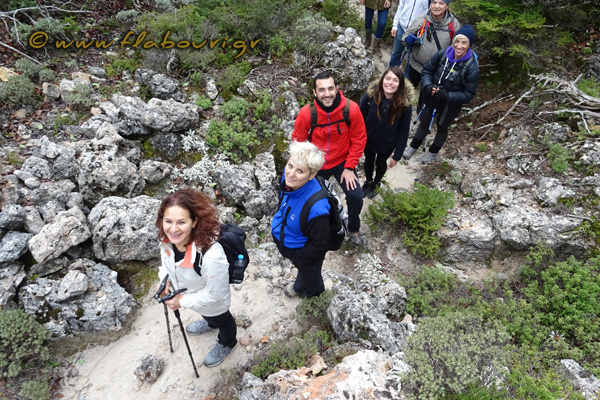 Φλαμπούρι - 2018-10-27 - Πεζοπορική βόλτα στο ελατόδασος της Πάρνηθας