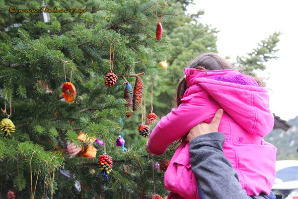 Φλαμπούρι - 2018-12-01 - Χριστουγεννιάτικος στολισμός ελάτου